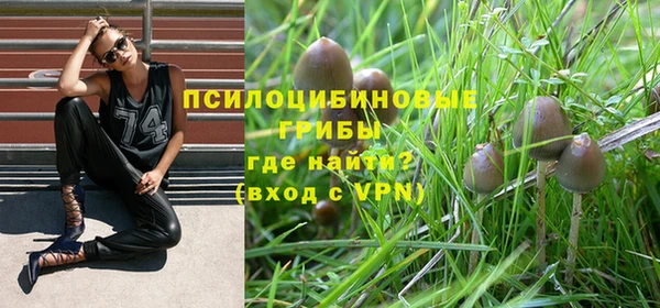 ALPHA-PVP Покров