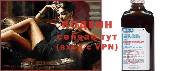 гашик Нея