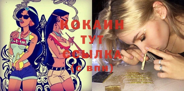 гашик Нея