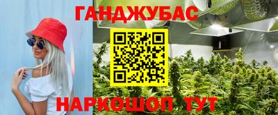 прущие грибы Гусь-Хрустальный