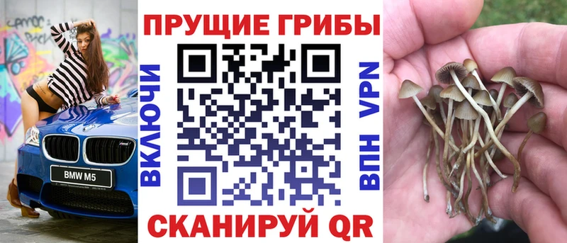 Псилоцибиновые грибы MAGIC MUSHROOMS  blacksprut ССЫЛКА  Уфа  как найти закладки 