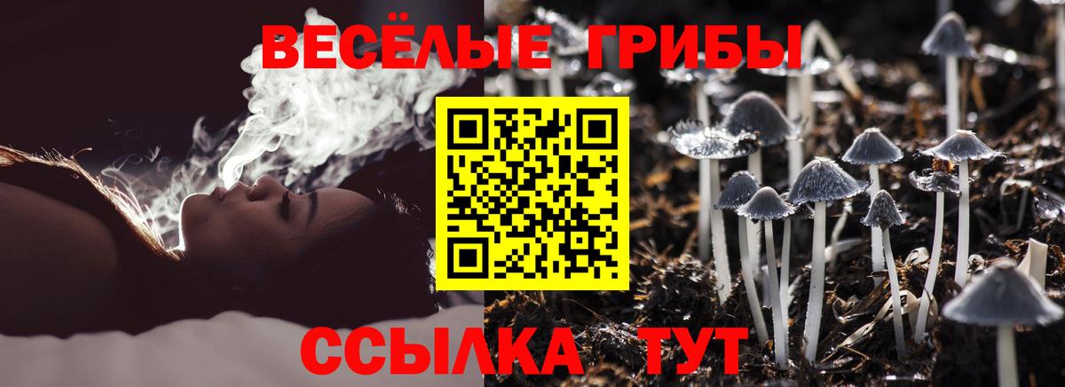 Галлюциногенные грибы GOLDEN TEACHER  Вход с VPN  Уфа 